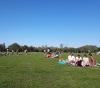 Park life.