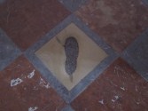 The Devil's footprint The Devil's footprint